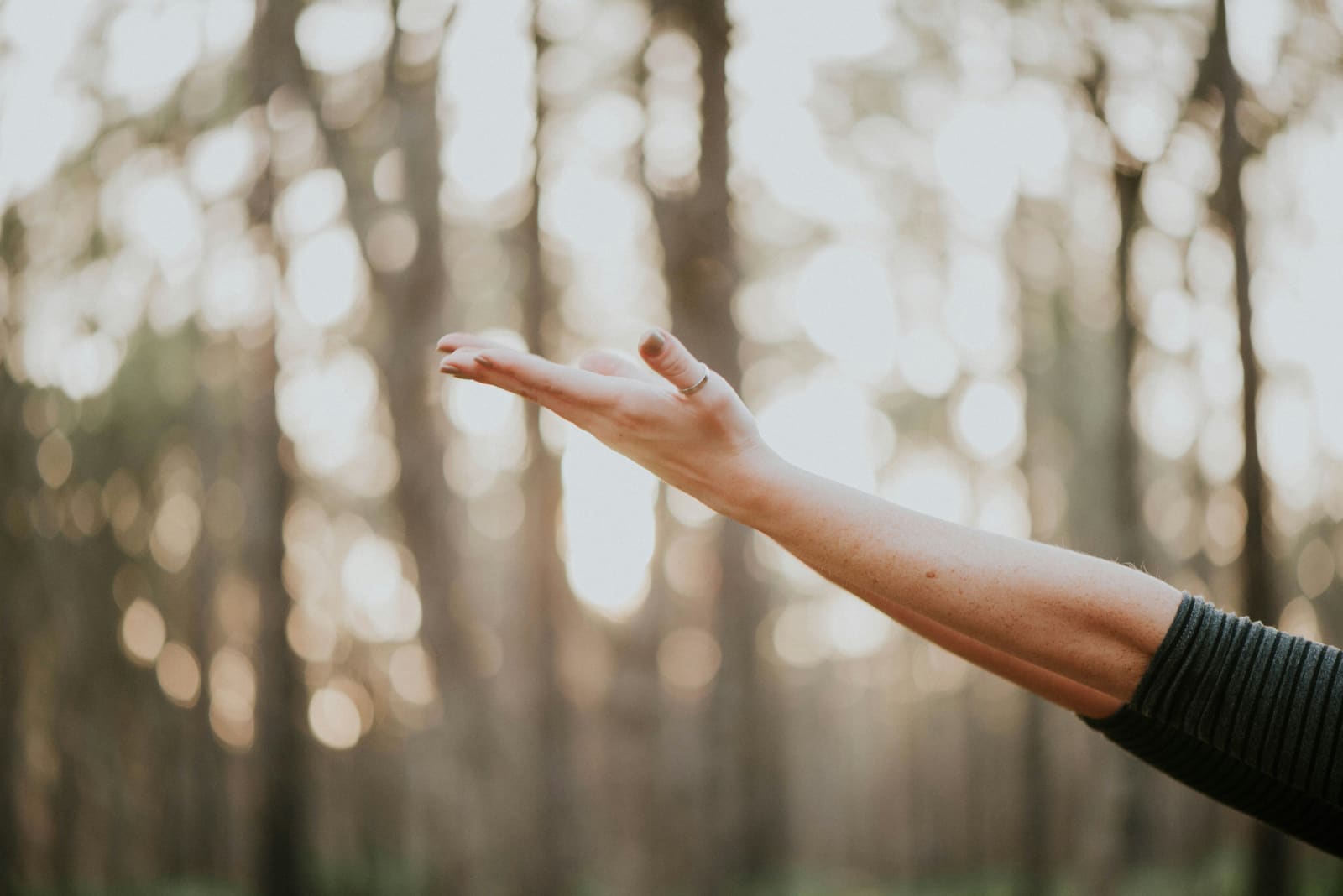 low impact exercises for weight loss